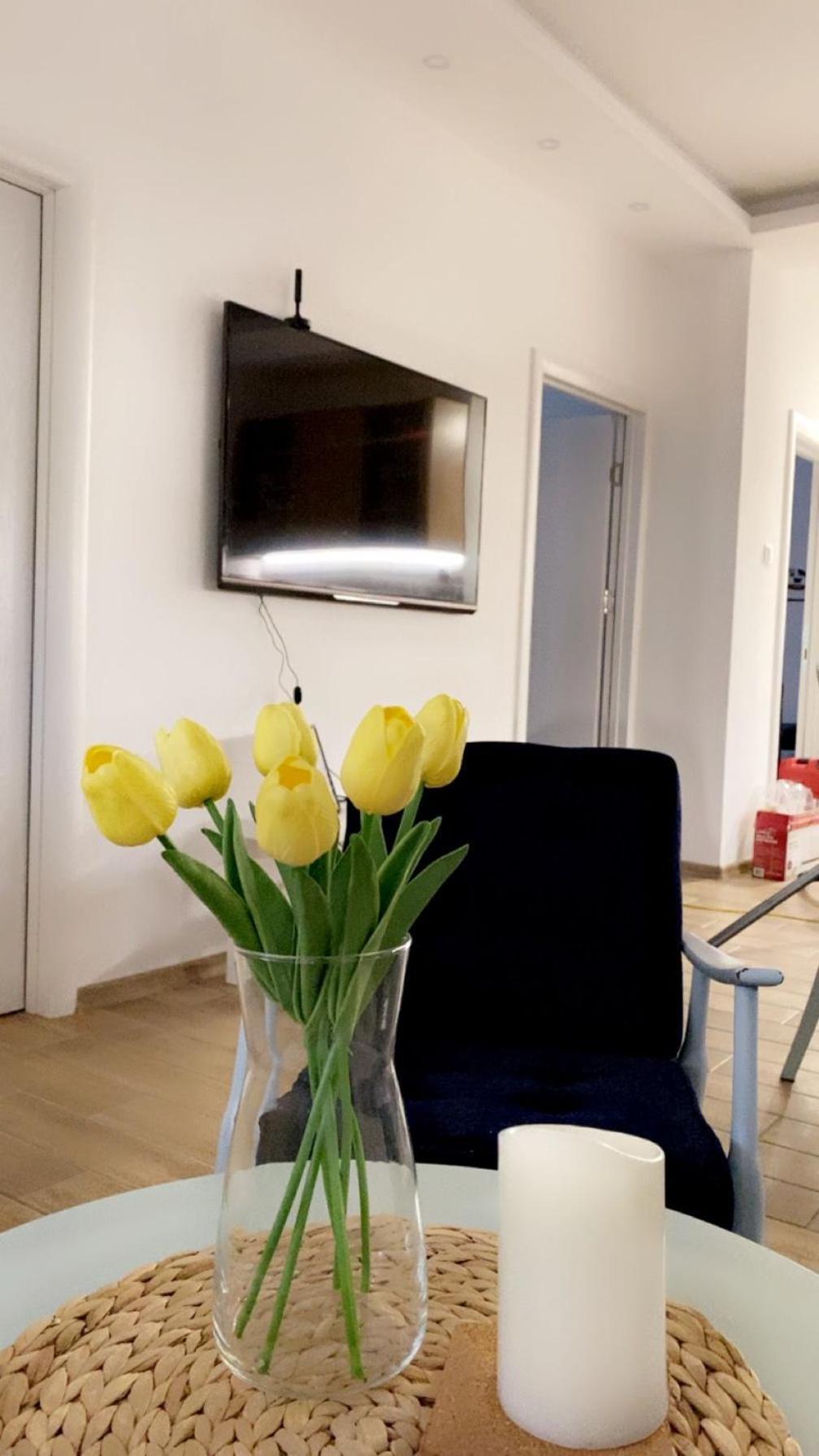 Vanja Apartman Vârşeţ Exterior foto