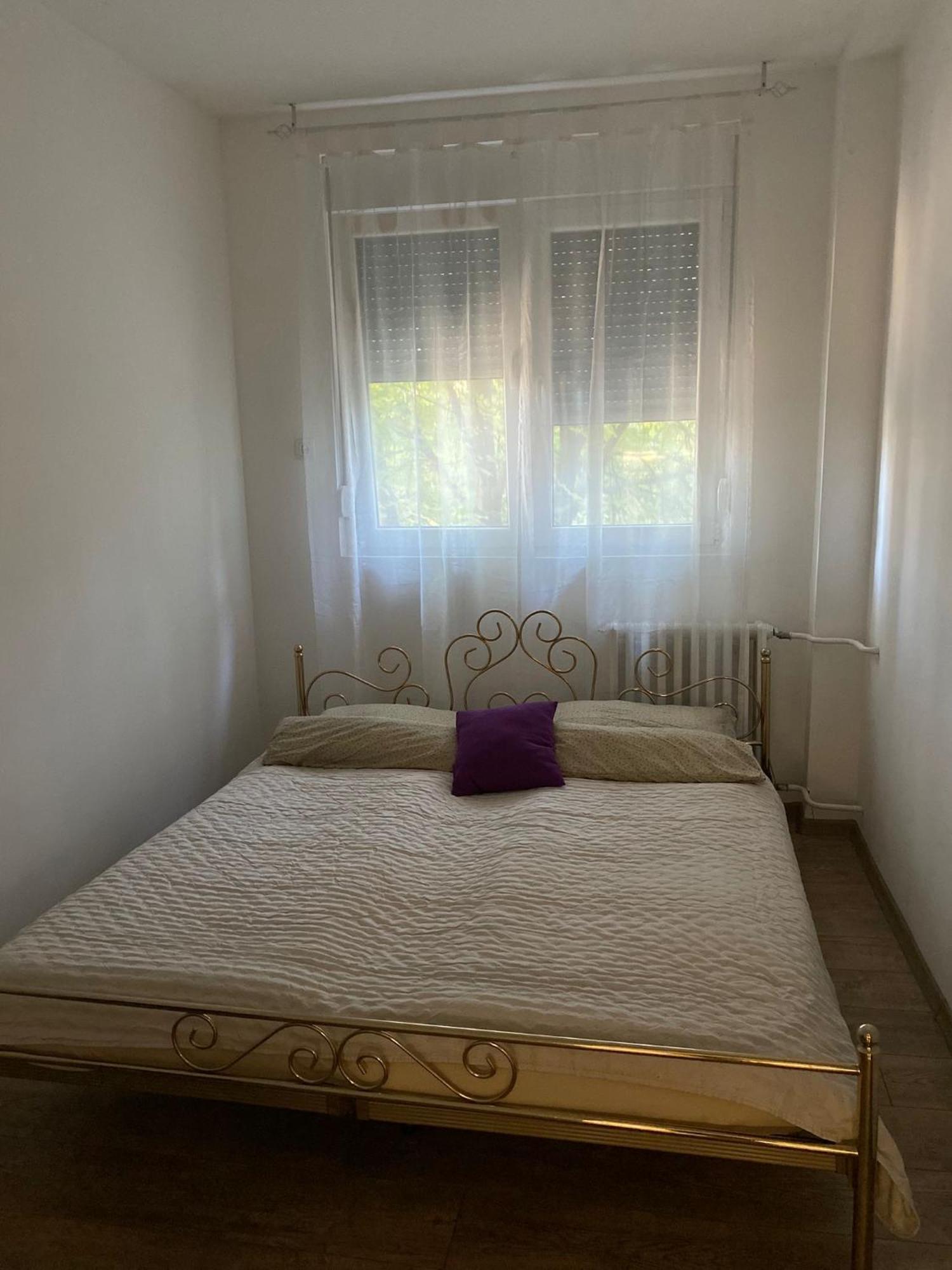Vanja Apartman Vârşeţ Exterior foto