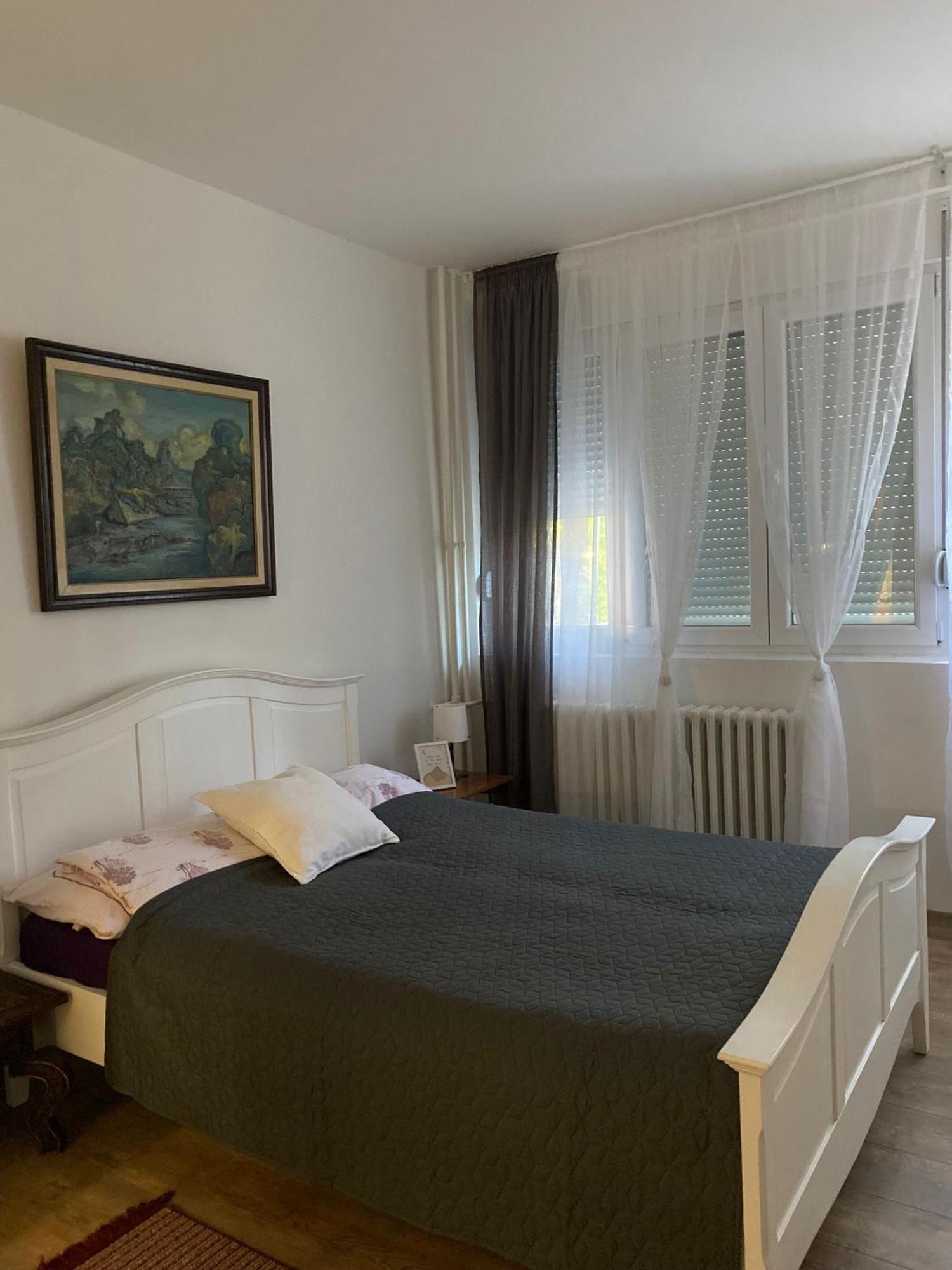Vanja Apartman Vârşeţ Exterior foto