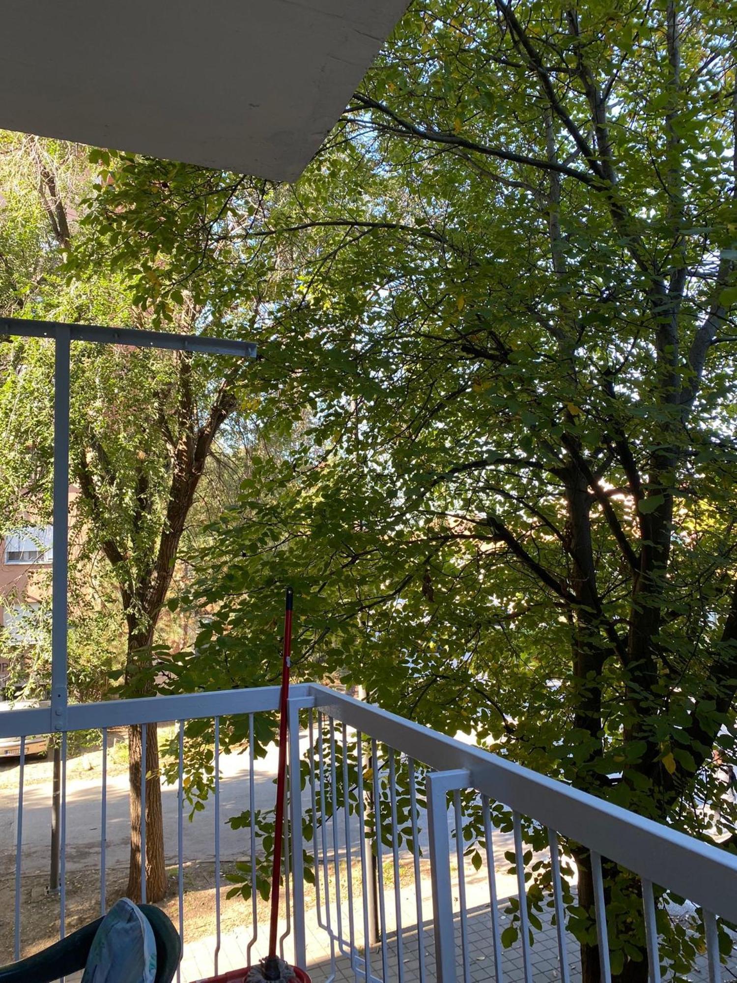 Vanja Apartman Vârşeţ Exterior foto